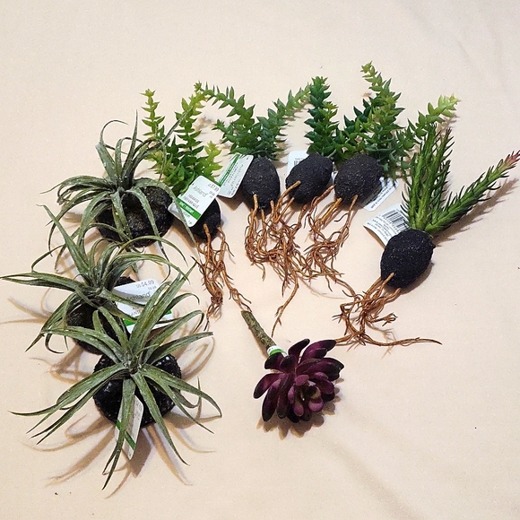 Ashland Accents 9 Faux Plants Poshmark